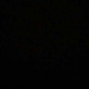 Meet your Posher, Timothy